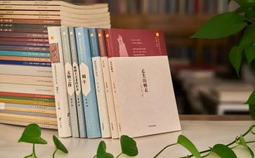 工作汇报暨工作计划最新8篇