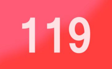 119领导讲话稿通用7篇