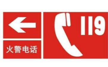 119学生讲话稿最新8篇