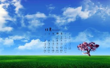 工作12月总结5篇