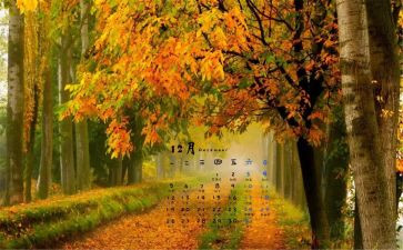 幼儿园12月月计划6篇