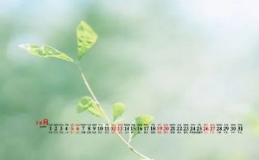 幼儿园12月份工作总结5篇
