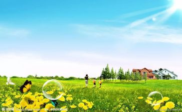 11月总结优秀7篇