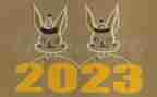 2023春小学语文组教研计划最新5篇
