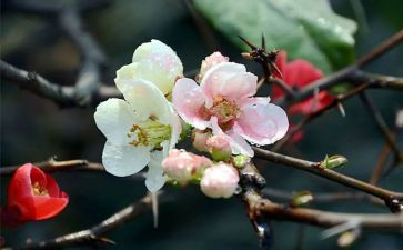 2024年2月销售工作总结通用7篇