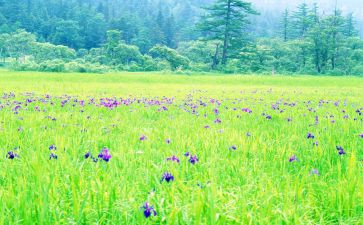 3月雷锋日的演讲稿6篇