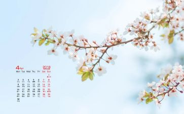 4月份工作总结报告8篇