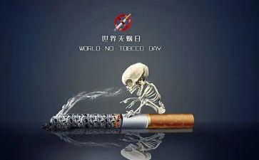 531工作计划范文最新8篇