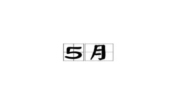 5月工作总结5篇