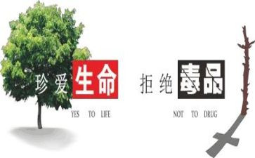 626禁毒日宣传活动方案6篇
