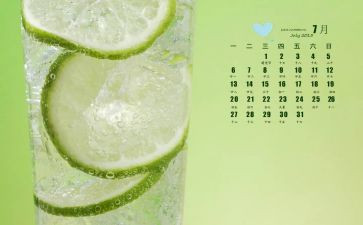 7月工作总结范文5篇