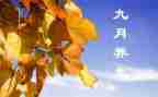 幼儿园9月工作总结范文7篇