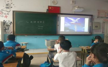 交通安全班会课教案8篇