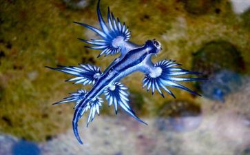生物学期个人总结8篇