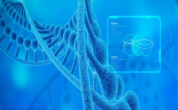 生物八上工作计划最新8篇