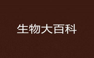 高二生物教师教学总结7篇