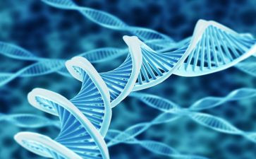 生物教师学期个人总结6篇