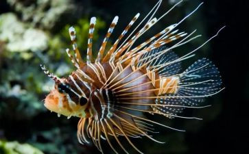 生物八上工作计划推荐6篇