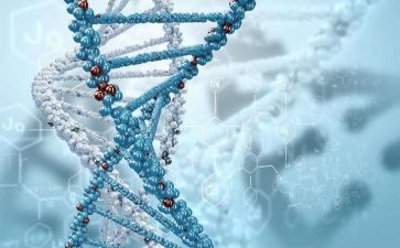 生物教研工作计划8篇