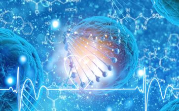生物八上工作计划参考8篇