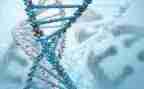 生物教研工作计划8篇