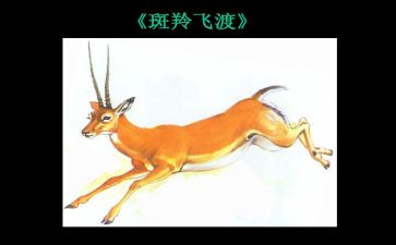 《斑羚飞渡》读后感500字6篇