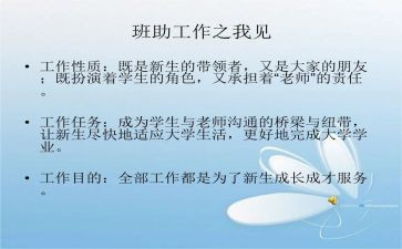 班助理个人总结优秀8篇