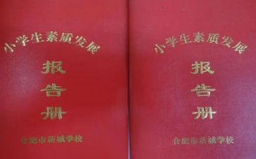 实习报告册个人总结精选8篇