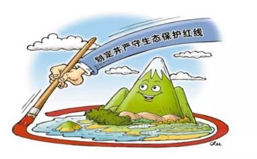 环境保护的调查报告范文7篇