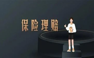2024年保险客服年终工作总结8篇