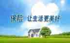 保险公司2024年述职报告5篇