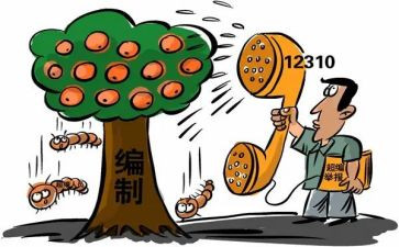 局编制工作总结6篇