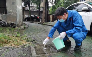 镇病媒生物防制工作总结8篇
