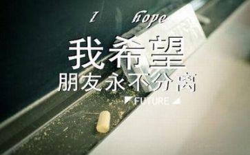 毕业实习自我鉴定范文8篇