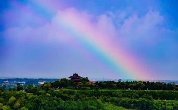11.彩虹教案优质8篇