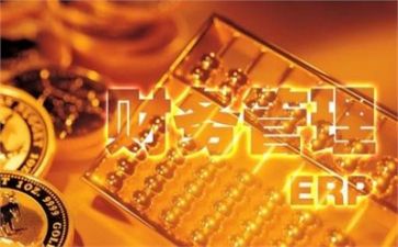 财务2024年工作总结通用5篇