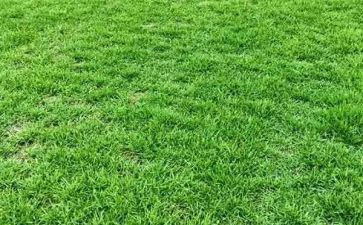 草房子心得体会最新7篇