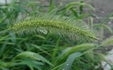 烟草客户经理年度总结7篇