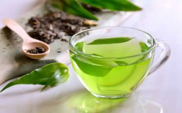 茶专业自我鉴定参考5篇