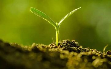 我长大了400优秀作文模板8篇