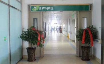 2022产科护士述职报告6篇