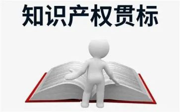 知识产权保护宣传总结6篇