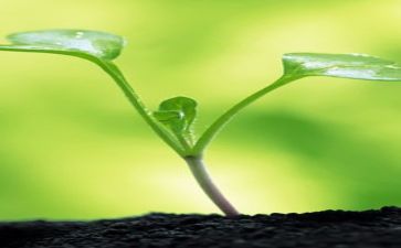 我的成长记作文500字通用5篇