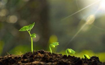 成长教案推荐7篇