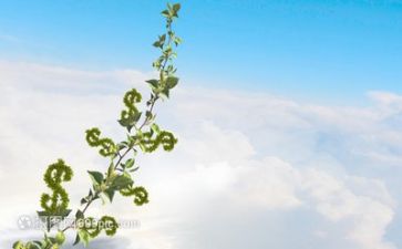 2024成长心得优秀5篇