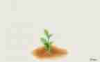 成长教案通用6篇