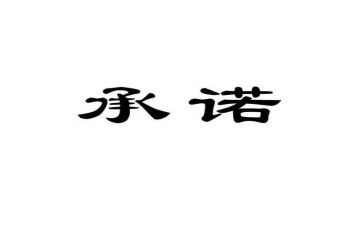 发放承诺书7篇