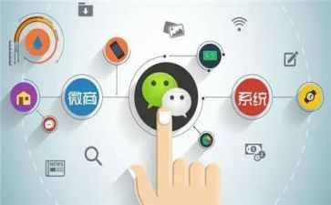 2024程序员年度总结模板8篇