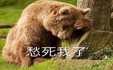 乡愁观后感7篇