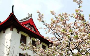 川大入党申请书通用6篇
